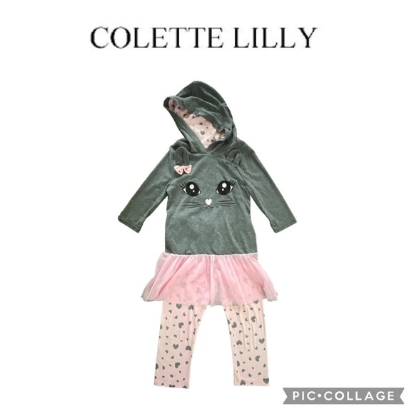 Colette Lilly Other - Colette Lilly Girls 2 piece cat hooded Tee leggings set pink gray hearts size 6